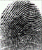 Scanner